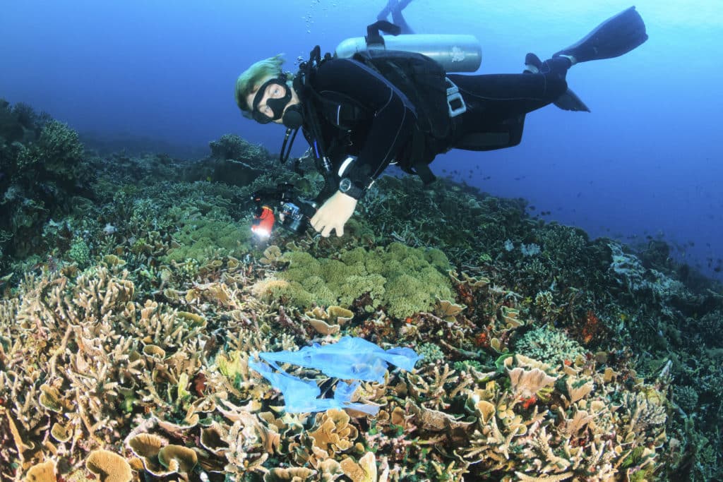 Plastic Bag Problems Saint Louis City Recycles