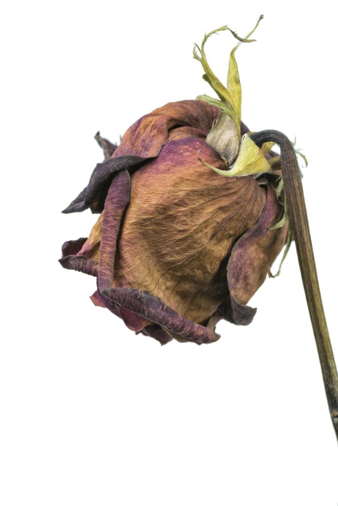 image171