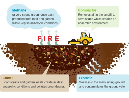 Why Compost - Saint Louis City Recycles